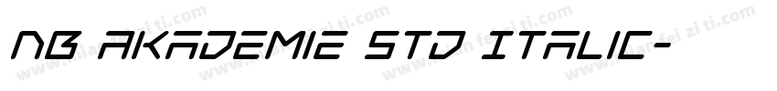 NB Akademie Std Italic字体转换